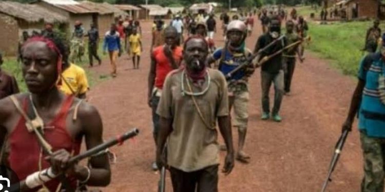 Ituri : l&rsquo;AT d&rsquo;Irumu indigné par des agissements de « faux ADF »