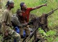 IMG-20240526-WA0016 - Agora Grands-Lacs Wazalendo : une frange déviante qui sème la terreur et la désolation