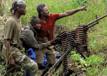 Wazalendo : une frange déviante qui sème la terreur et la désolation