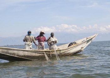 Nord-Kivu : au moins six pêcheurs arrêtés et 58 moteurs hors-bord saisis en Ouganda