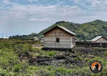 Dossier Nzulo : l&rsquo;ICCN s&rsquo;oppose à la délivrance de tout titre des terres du PNVi !