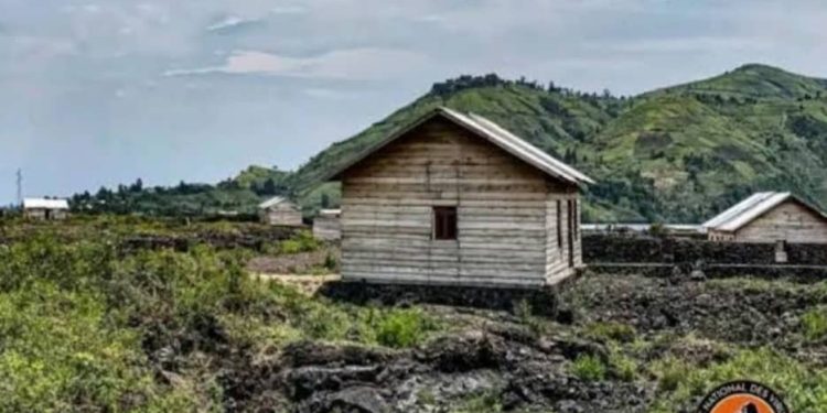 Dossier Nzulo : l&rsquo;ICCN s&rsquo;oppose à la délivrance de tout titre des terres du PNVi !