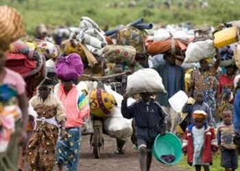 Guerre à l&rsquo;Est de la RDC : « Butembo enregistre plus de 50 déplacés par jour », ( ISPRON )