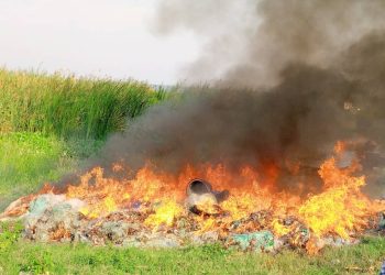 Ituri : des équipements interdits à la pêche incinérés au bord du lac Albert