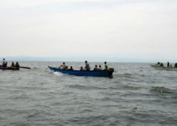 Ituri : baisse sensible des poissons sur lac Albert en raison d&rsquo;une occupation de zones de frayeur