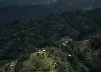 Lubero : le chef du secteur des Bapere alerte sur la présence des ADF dans la localité Magogo