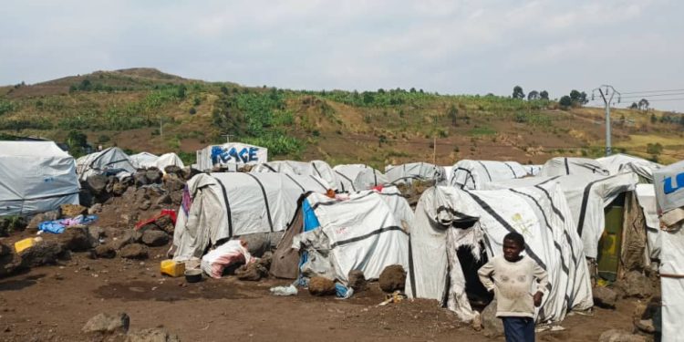Goma : quand solidarité rime avec business lucratif dans les camps de déplacés