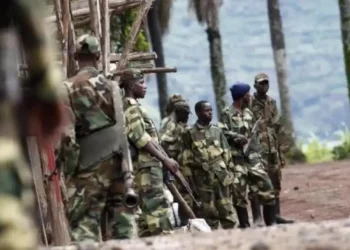 Nord-Kivu : de faux « Wazalendo » seront passibles à des mesures disciplinaires sévères (communiqué)