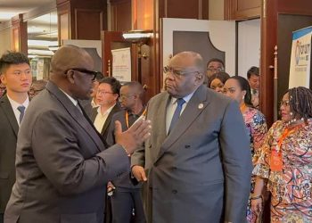 Chine : la RDC présente les opportunités d’investissement dans le secteur de l’industrie manufacturière
