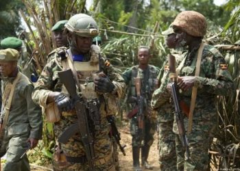 Opérations conjointes FARDC-UPDF : plus de 50 ADF tués et 72 capturés à Beni depuis avril 2024