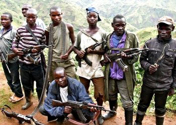 FARDC-UPDF : trois terroristes ADF neutralisés