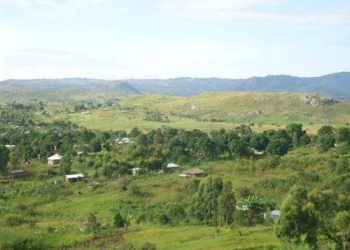 Ituri : un chef coutumier tué par les ADF à Makidhi à Irumu