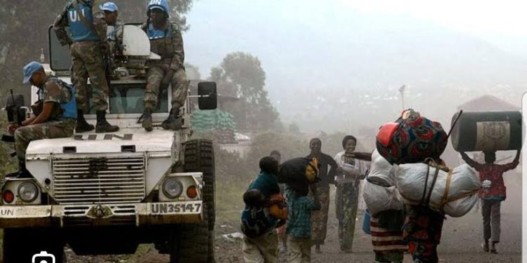25 ans de la Monusco en RDC : un anniversaire controversé au Nord-Kivu !