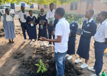 Goma : l&rsquo;AJCPE lance la campagne « Écoles vertes »