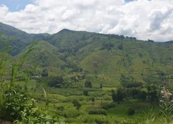 Masisi en feu : le M23 et les FARDC s&rsquo;affrontent