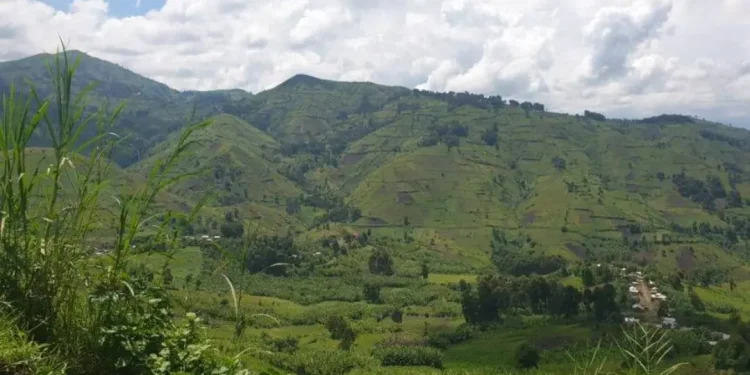 Masisi en feu : le M23 et les FARDC s&rsquo;affrontent
