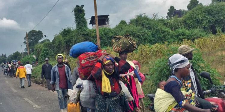 kas - Agora Grands-Lacs Guerre du M23 : un afflux des déplacés signalé à Kasindi
