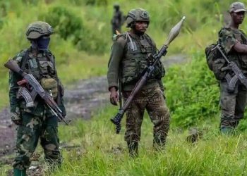 Nord-Kivu : les démobilisés prêts à combattre aux côtés des FARDC