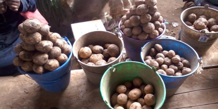 Butembo : hausse du prix des pommes de terre