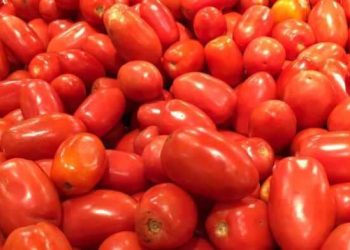 Butembo : flambée des prix des tomates sur le marché