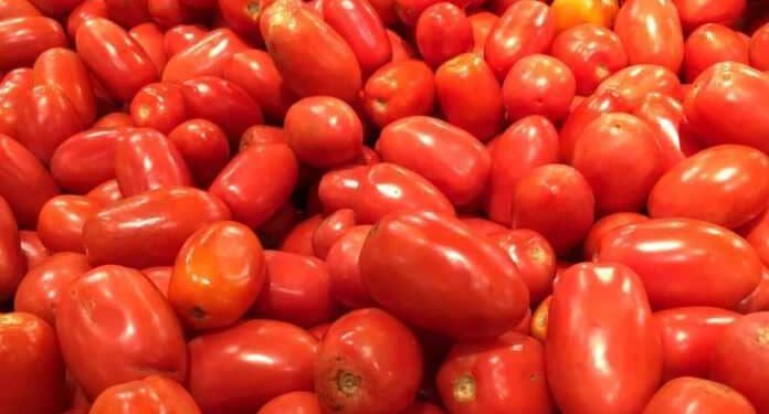 tomate - Agora Grands-Lacs Butembo : flambée des prix des tomates sur le marché