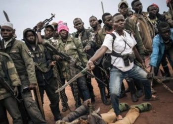 Ituri : cinq personnes tuées dans une attaque de Zaïre à Djugu