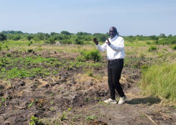 Ituri : « L&rsquo;électricité est une solution efficace contre la déforestation », (Faustin Ngalori)