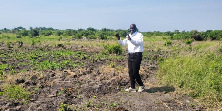 foret - Agora Grands-Lacs Ituri : « L’électricité est une solution efficace contre la déforestation », (Faustin Ngalori)