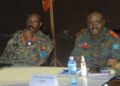 RDC : extension des opérations conjointes FARDC-UPDF
