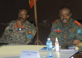 RDC : extension des opérations conjointes FARDC-UPDF