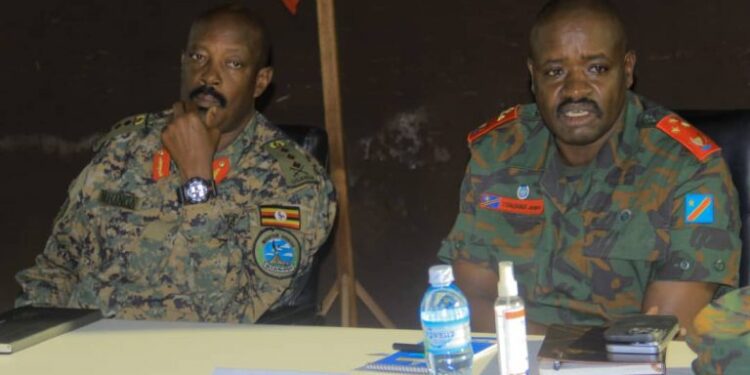 RDC : extension des opérations conjointes FARDC-UPDF