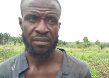 Kwamouth : un des commandants de la milice Mobondo capturé par les FARDC