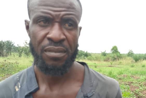 Kwamouth : un des commandants de la milice Mobondo capturé par les FARDC