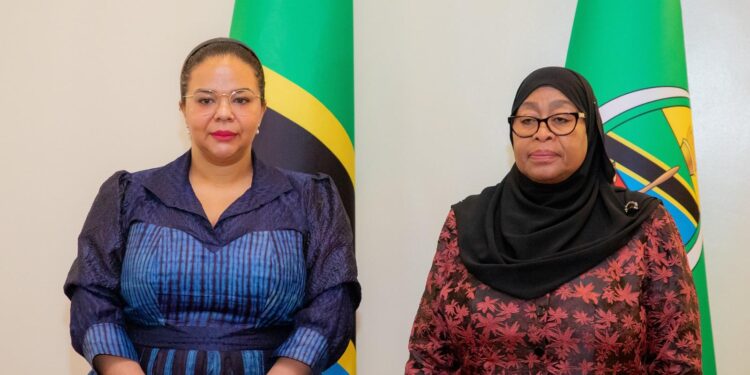 rr - Agora Grands-Lacs Diplomatie : après Ndayishimiye, Thérèse Wagner rencontre Suluhu
