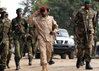 RDC : CNLC, un autre mouvement politico-militaire géré par un ancien du M23 voit le jour en Ituri