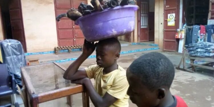 IMG-20250421-WA0044 - Agora Grands-Lacs Butembo-Lubero : le Parlement d’enfants dénonce une exploitation économique au détriment de l’éducation
