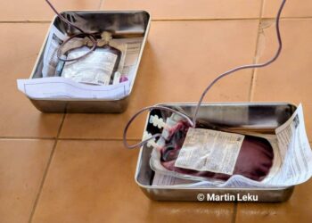 Butembo : plus de 140 poches de sang collectées (mi-parcours)