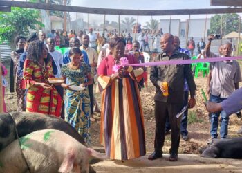 Ituri : inauguration de la nouvelle aire d&rsquo;abattage des porcins à Bunia