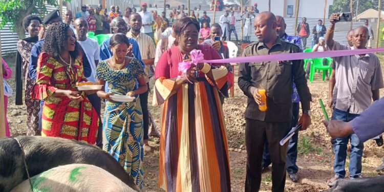 Ituri : inauguration de la nouvelle aire d&rsquo;abattage des porcins à Bunia