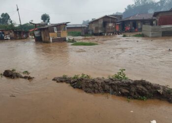 Butembo : face aux érosions et inondations, des réponses locales proposées