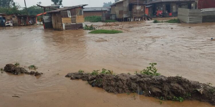 IMG-20250507-WA0044 - Agora Grands-Lacs Butembo : face aux érosions et inondations, des réponses locales proposées