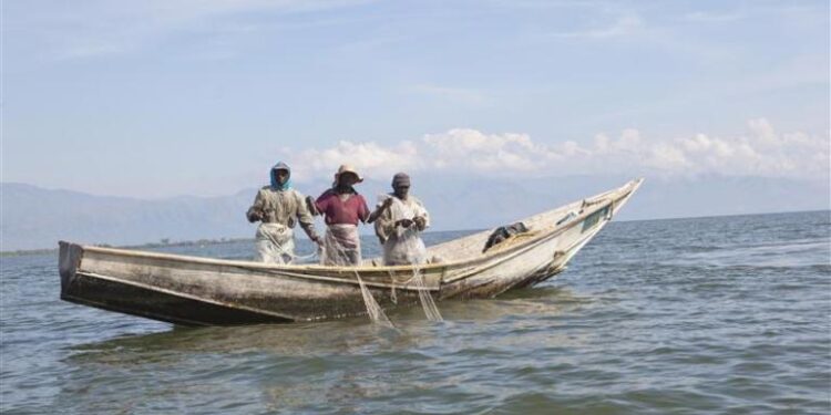 Ituri : la pêche chimique, une menace mortelle pour les écosystèmes du lac Albert