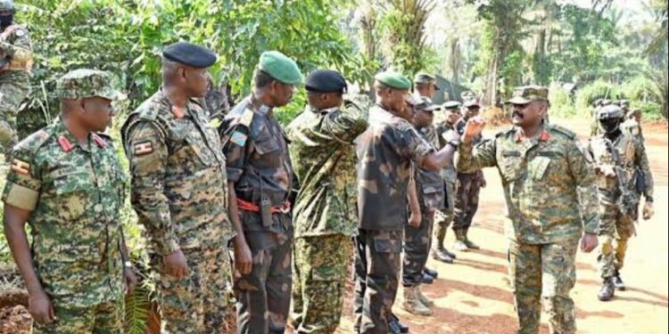 Ituri : la coalition FARDC-UPDF intensifie ses frappes contre les ADF autour de Lolwa