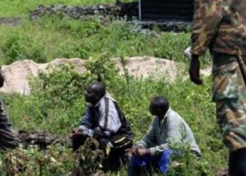 Irumu : arrestation d&rsquo;un présumé collaborateur des ADF