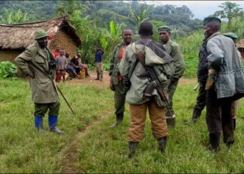 Beni : la CRDH alerte sur la présence des ADF dans le secteur de Ruwenzori