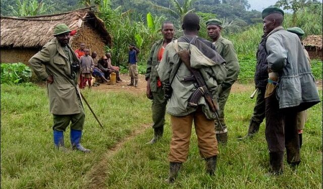Beni : la CRDH alerte sur la présence des ADF dans le secteur de Ruwenzori