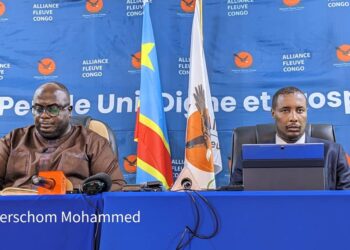 Conflit dans l&rsquo;Est : l&rsquo;AFC/M23 dénonce la violation de la Déclaration de principes