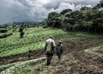 Irumu : trois localités du sud de l&rsquo;Ituri frappées par l&rsquo;activisme des ADF