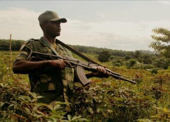 Massacres à l&rsquo;Est : le club « Mayi ya Rwindi » propose la voie du dialogue avec les ADF