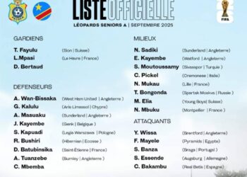 Éliminatoires Coupe du Monde 2026 : Desabre dévoile la liste des Léopards